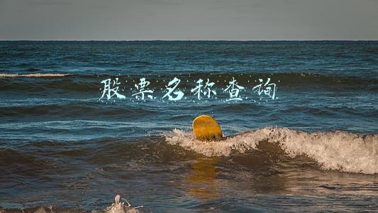 股票名称查询