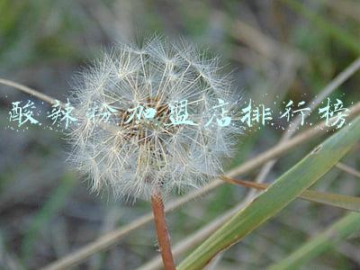 酸辣粉加盟店排行榜