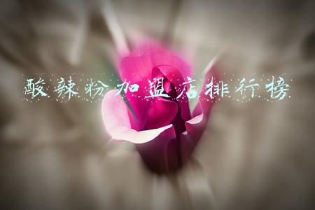 酸辣粉加盟店排行榜