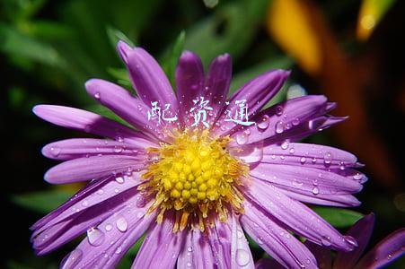 配资通道费(信托业通道费率升至0.3%，加码消费金融面临多重挑战)