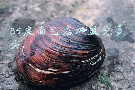 85度c加盟费官方电话-85度c店加盟费电话