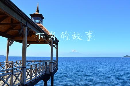 下岗的故事王申诉萍(千元修复个人征信报告可信吗？有银行表态：“征信修复”都是骗局)