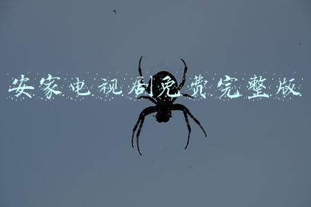 安家电视剧免费完整版在线观看(安家：曲玲珑诬陷姑姑非礼结局很解气，房似锦挖苦姑姑反被撩搞笑)