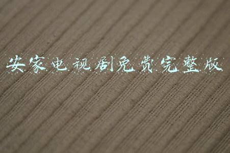 安家电视剧免费完整版