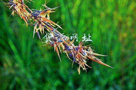 货源网址导航(二手汽车导航商货源不畅，竟到4S店“打包”)