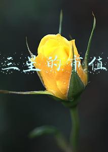 三星的市值是多少(三星超过台积电，成为全球市值最高半导体公司)