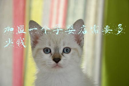 开个孕婴店投资多少钱 开个孕婴店需要投资多少钱