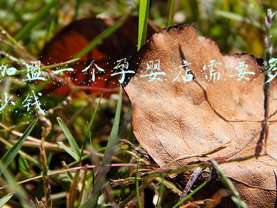 开孕婴店需要多少钱《开一个母婴店要投资多少钱》