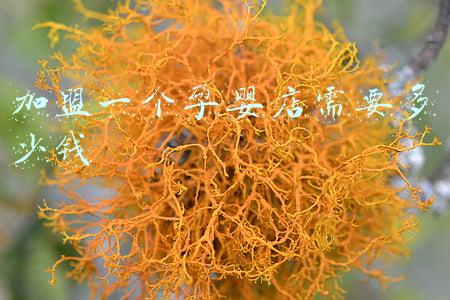 加盟一个孕婴店多少钱《母婴店加盟多少钱》