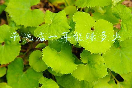 干洗店能洗掉油渍吗(干洗店能洗掉油渍吗需要多久)