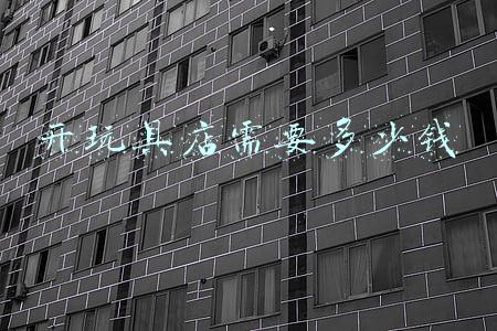 开一个玩具店要多少钱《开一个玩具店要多少钱?》