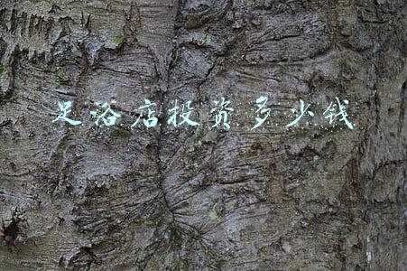 足浴店投资预算表-足浴店投资预算