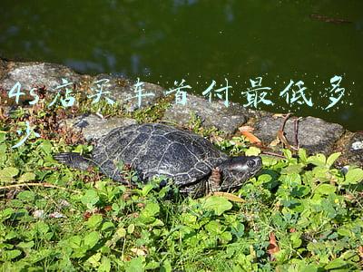 4s店购车最低首付多少(4s店买车最低首付多少?)