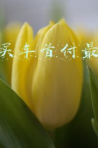 去4s店买车如何砍价,去4s店买车如何砍价避免套路