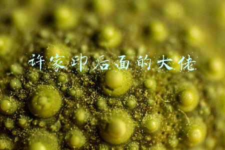 许家印后面的大佬