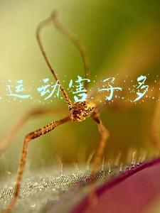 提肛运动害了多少人