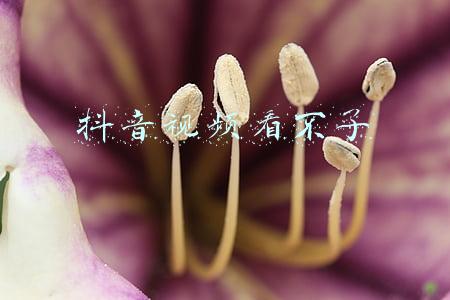 网络正常但抖音视频看不了(张庭微博抖音均被禁言，TST客服称目前公司运营正常)