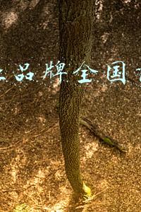 2021集成灶品牌全国前十名排行(2021年集成灶全新排名出炉，看看全国十大排行榜有哪些)