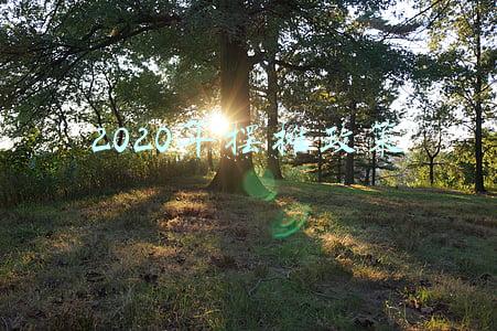 2020年摆摊政策规定文件(“摆摊”该去哪？威海文登公布发展夜间经济、开放便民市场通告)