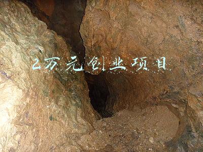 2万元创业项目