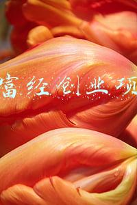 致富经创业项目 cctv(央视的这套节目，到底是致富经还是“致负经”？为啥农民一试就赔)