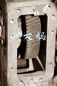 钱大妈加盟费多少(月亏3万，我十分后悔加盟了钱大妈)