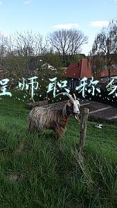 工程类职称专业分类(工程人的职称等级，到底应该怎样划分？)
