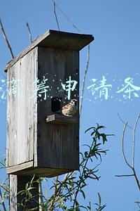 水滴筹申请条件