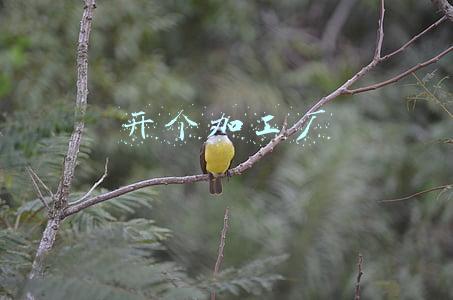 我想在家开个加工厂(在家开办自己的卫生纸加工厂)