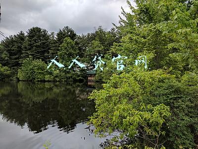 人人贷官网登陆(中国互金协会开放项目信息查询功能 人人贷等9家平台接入)