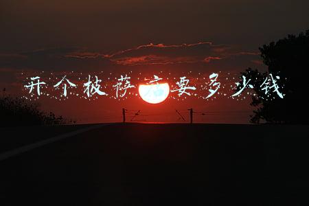开个披萨店要多少钱
