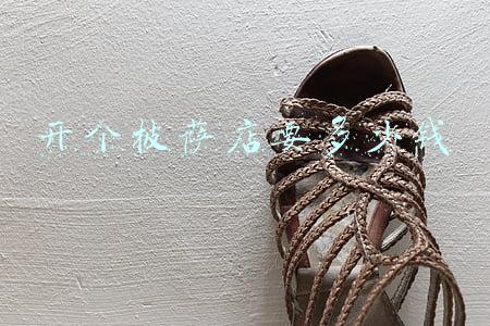 开一个披萨店要多少钱《开个披萨店需要多少钱》