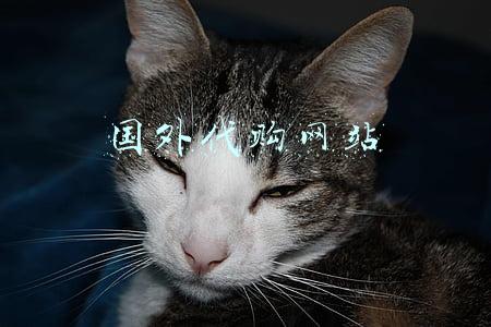 国外代购网站有哪些 哪个好(海淘网站哪个最靠谱？)
