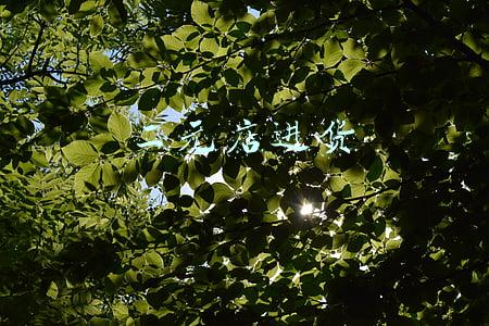 二元店进货清单(二元店赚钱吗？扣除成本一年能挣多少钱？)