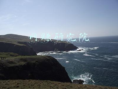网赚研究院