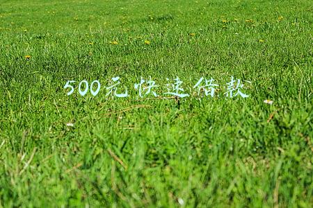 500元快速借款