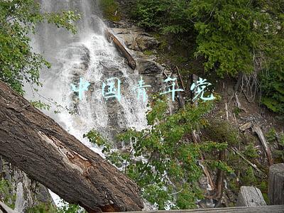 中国青年党