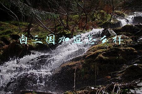 卤三国加盟靠谱吗评论(卤三国带大家分析一下卤味创业的市场前景)