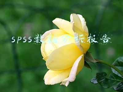 spss数据分析报告范文(神经网络spss统计分析与数据挖掘)