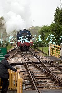 悦刻老板汪莹背景