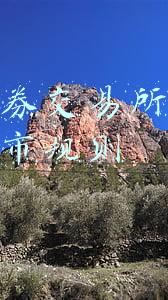 深圳证券交易所创业板股票上市规则(2021年修订(虎年首批！两公司终止创业板IPO，一家“踩雷”乐视网冲击波)