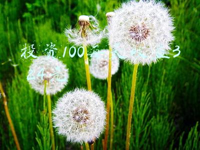 投资100每天收益3 24元