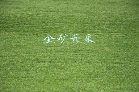 金矿开采国家有什么规定(金矿的开采方法及所需设备)