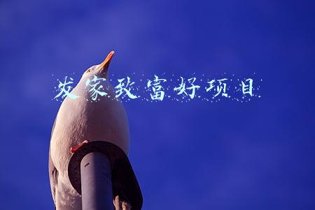 挣钱发家致富(曾经很火的“打工仔”为啥消失了？农村现3大商机，在家也能赚钱)