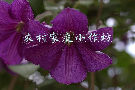 农村家庭小作坊