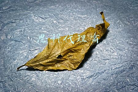 思科代理商