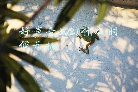 好声音2021什么时候开播