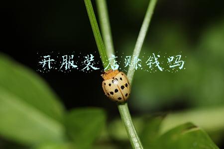 开服装店赚钱吗