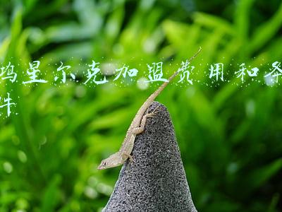 鸿星尔克加盟费用和条件