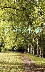 多姿多彩的近义词(句子中的反义词练习，家长来看看！)